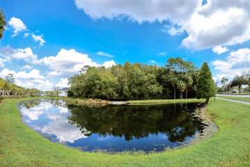 Summer tree, pond and white cloud in Florida