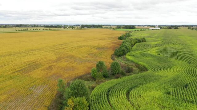 farm fields separated by twisting creek and strong contrasting colors