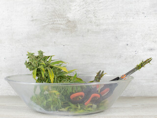 Cannabis flower in a bowl with scissors