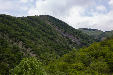 mountains covered with trees, against the cloud sky