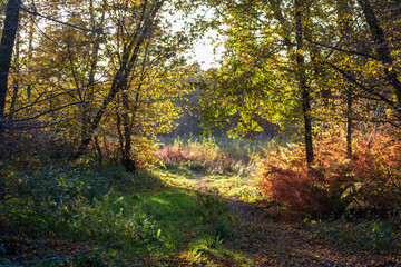 Autumn Is Coming, East Sussex Country Side Scenes