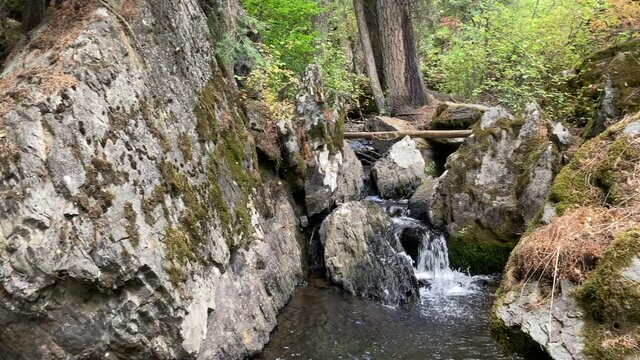 Mossy Rocks At Potter's Creek In Union County, Oregon (4k)