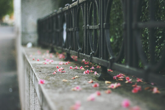 Spring details