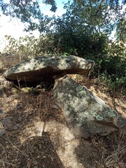 Obraz premium rocks in the woods