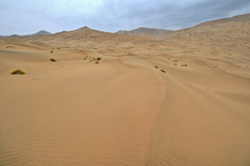 Fototapeta na wymiar Moving and stationary sand dunes-Badain Jaran Desert. Alxa Plateau-Inner Mongolia-China-1056
