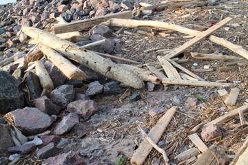 Logs and boards by the sea