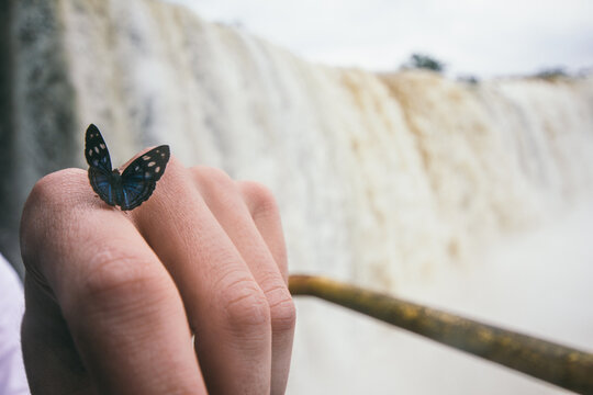 Butterfly perched on human hand close up and waterfall on the background