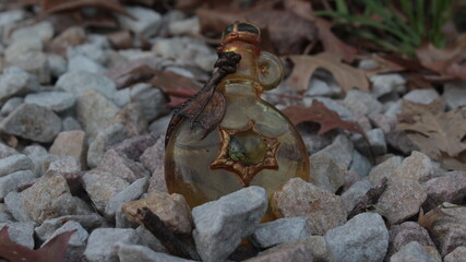 A small fantasy dragon bottle surrounded by rocks and fallen leaves