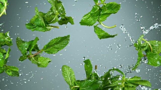 Super slow motion of flying mint leaves. FIlmed on high speed cinema camera at 1000 fps.