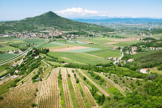 Cultivated Landscape