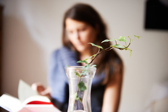 Fresh twig near reading woman