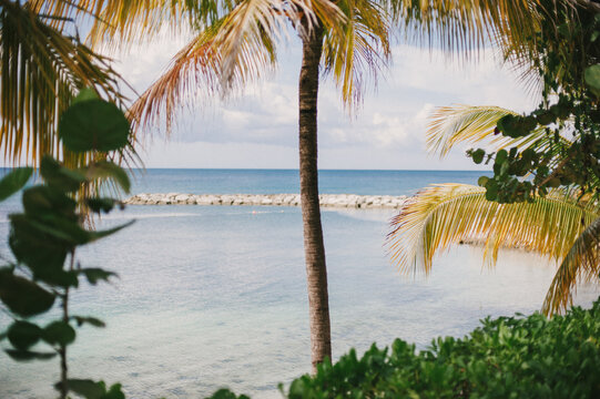 Tropical beach views of palms trees and the ocean in Jamaica