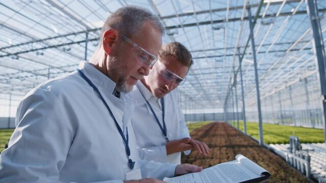 Two greenhouse workmen walking and exploring crops plantation of vegetables using data documentation. Professional cooperation. Greenery. Bio farming. Ecology.