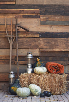 Fall harvest conceptual theme