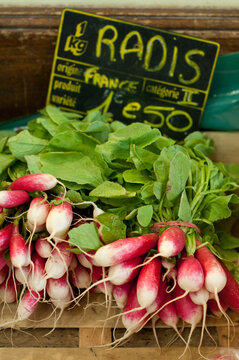 Radis on a frencha market