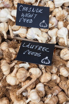 Garlic Cloves on Sale, England, United Kingdom