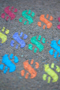 Colored stenciled chalk dollar signs on the pavement - sidewalk chalk
