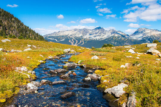 Creek to Blackcomb Mountain