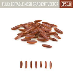 Small pile of long grain red rice.