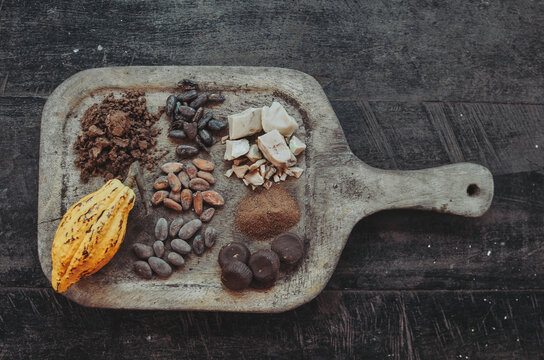 Chocolate making process; overhead view of the assorted cocoa beans and cacao in different stages