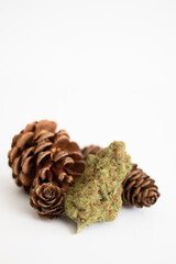 Cannabis nug with pinecones on white background