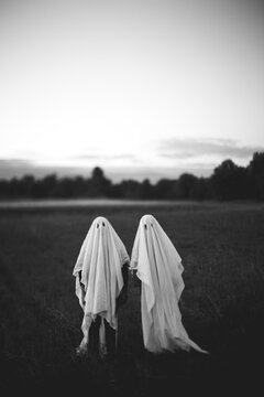 Ghosts in a Field