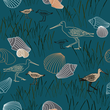 Turquoise_BirdsShells_Seaml_Stock