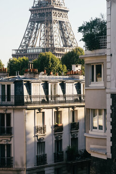 Parisian Facades