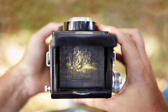 Hands taking picture of a lake with TLR camera