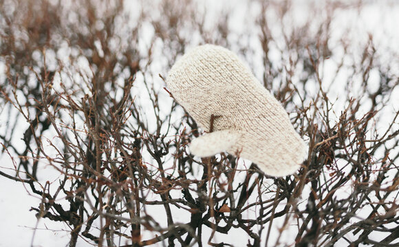 lost wool mitten .