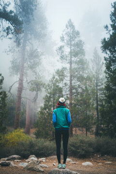 A woman gazing into the forest.