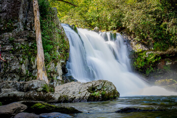 Fototapeta na wymiar Abrams Falls - Townsend Tennessee
