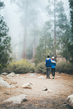 A couple gazing into a foggy forest.