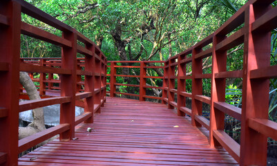 Fototapeta na wymiar Wooden bridge for walking around the forest