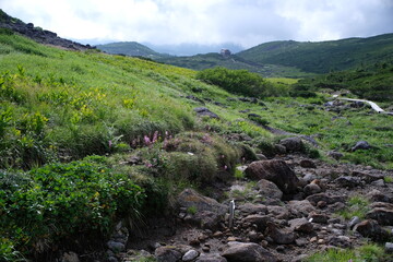 雲ノ平