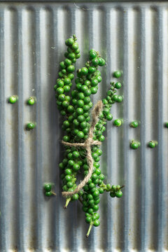 Fresh pepper