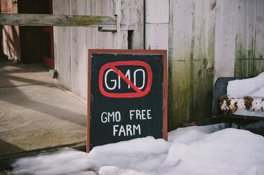 GMO Free Farm Sign outside barn in winter