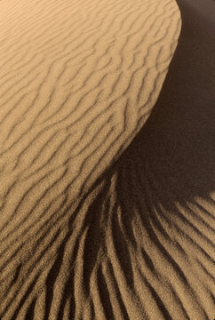closeup of sand dune patterns and textures along Pacific coastline shoreline beach