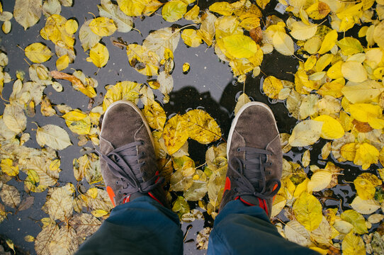 Boots in the autumn rain