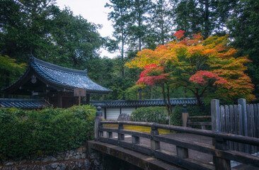 Fototapeta premium 京都、西芳寺 (苔寺) の総門と紅葉