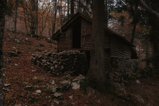 what's your wifi password?