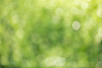 Fototapeta na wymiar Natural green bokeh background, green bokeh abstract