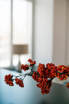Floral interior decoration