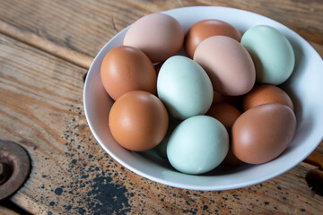 Colorful Fresh Eggs in a white bowl on a wood table