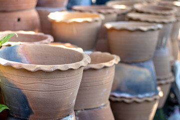 Clay Pot