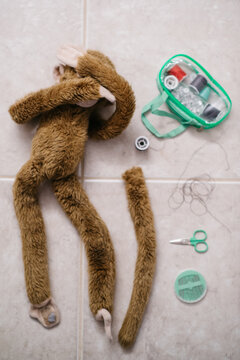 a stuffed animal monkey covers its eyes in preparation for a tail reattachment procedure