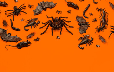 Black Halloween creepy crawly bugs and spiders on orange background with blank space for text