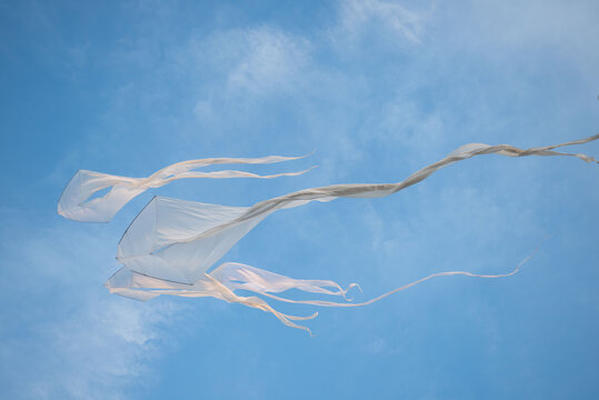 Abstract White Kites Flying