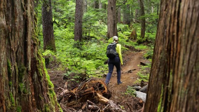 Woman Hiking In The Woods