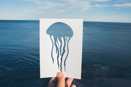 Jellyfish and sea view